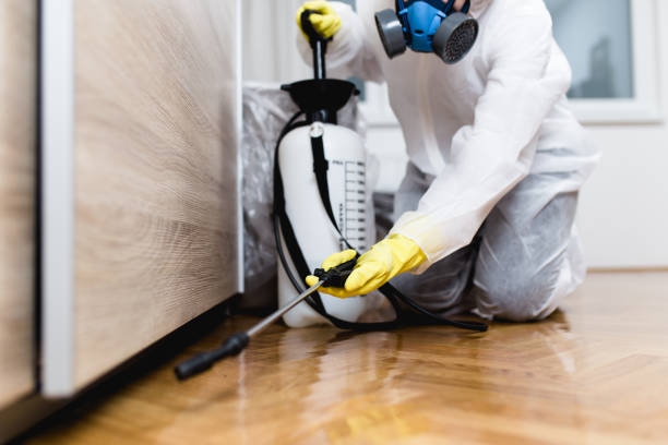 Best Rat Extermination Near Me  in Mccom, OH