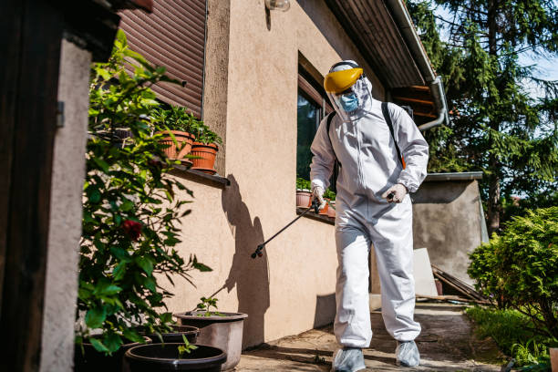 Best Bed Bug Extermination  in Mccom, OH