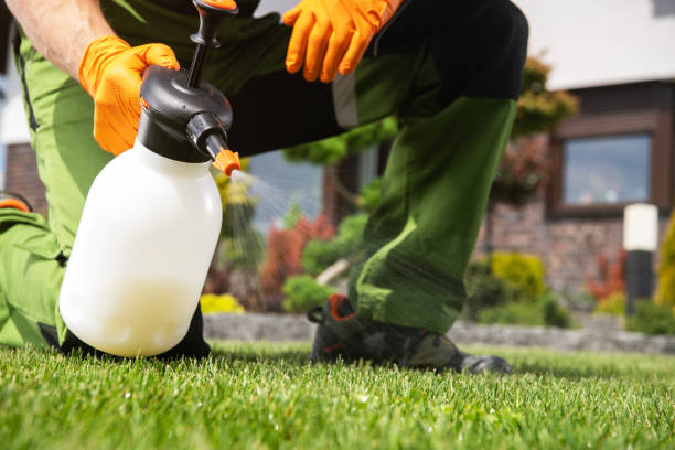 Best Local Pest Control Services  in Mccom, OH