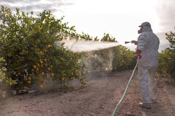 Best Wildlife Control Services  in Mccom, OH