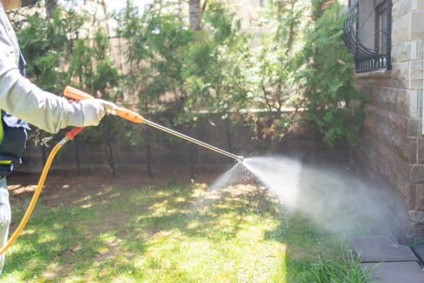 Best Best Pest Control Companies  in Mccom, OH