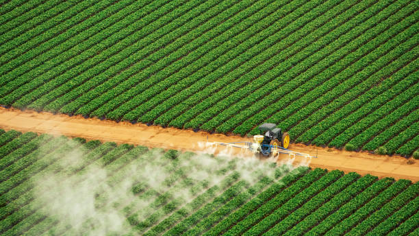 Best Mosquito Control Services  in Mccom, OH