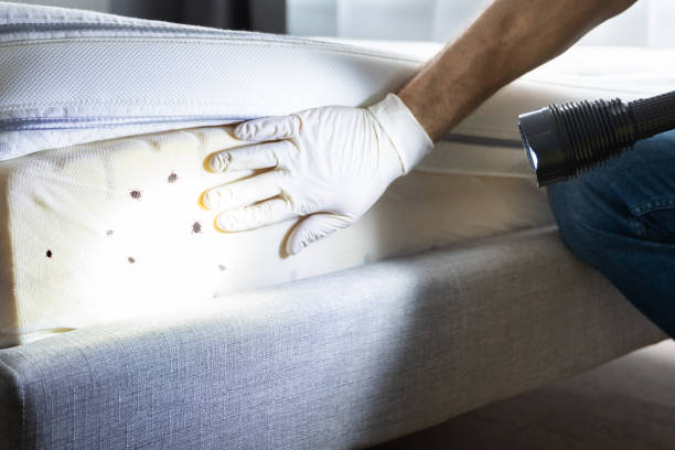 Best Affordable Pest Control Services  in Mccom, OH