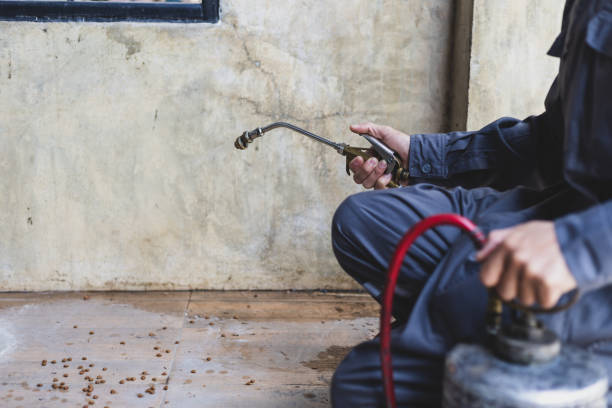 Best Wasp Removal Services  in Mccom, OH